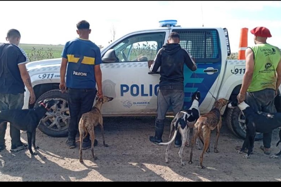 Operativo contra la caza