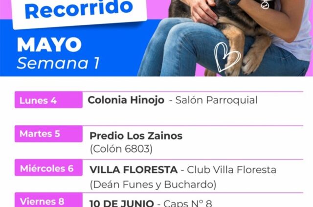 Cronograma de la primer