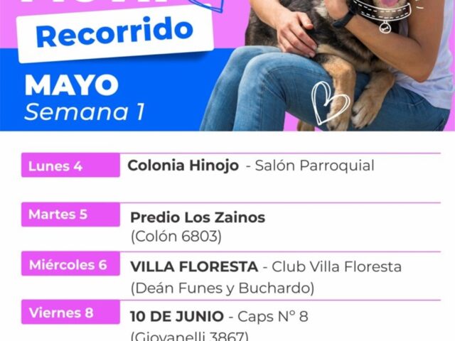 Cronograma de la primer