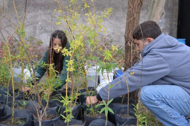 El Vivero Forestal Municipal