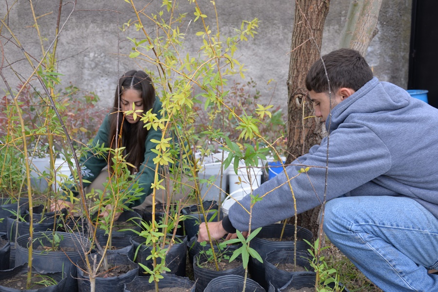 El Vivero Forestal Municipal