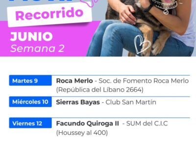 Cronograma de la segunda
