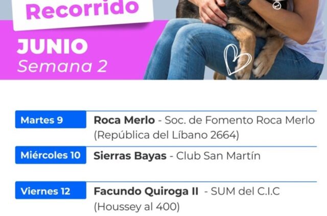 Cronograma de la segunda