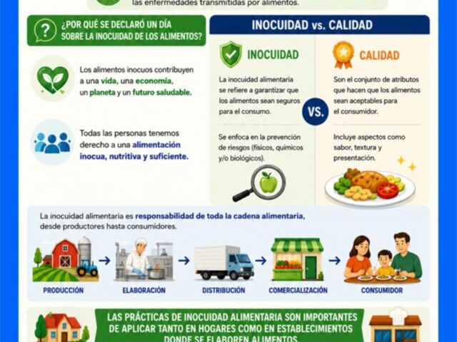 Día Mundial de la