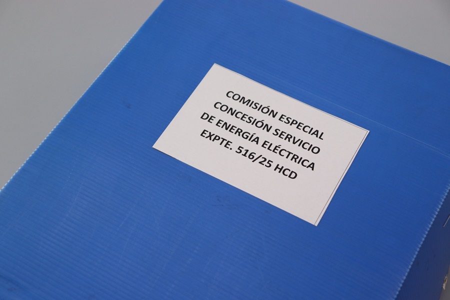 La Comisión Especial fijó