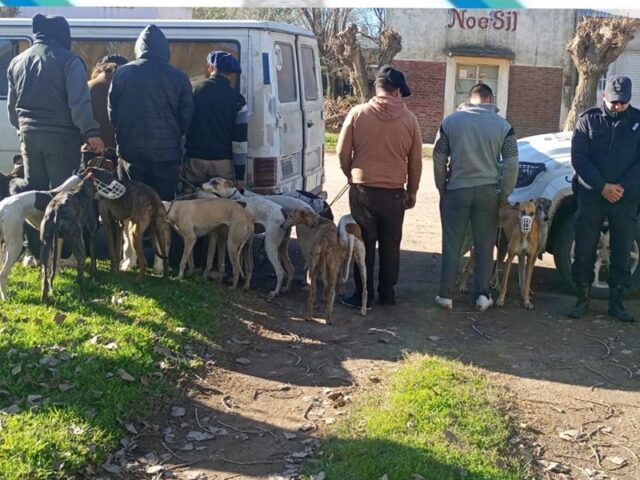 Procedimiento policial en zona