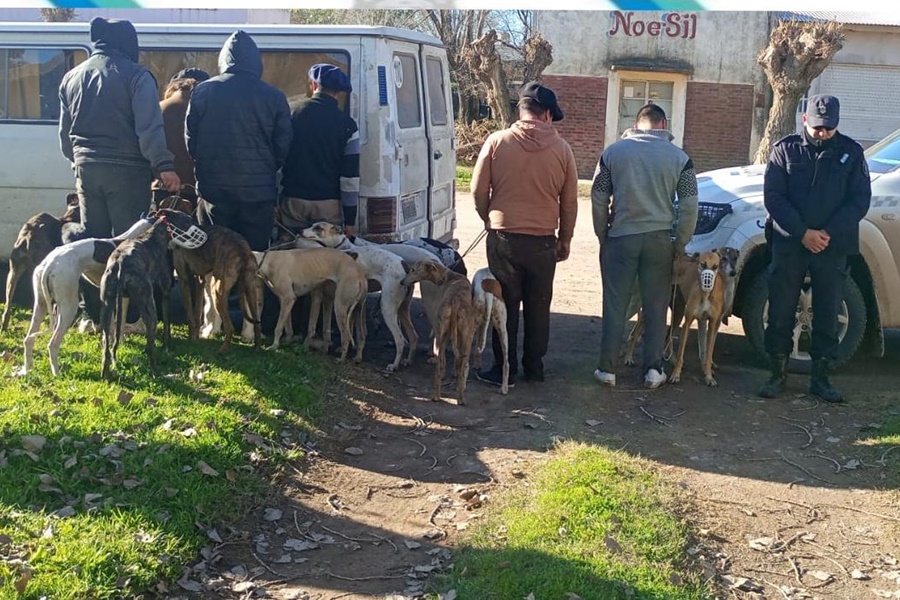 Procedimiento policial en zona