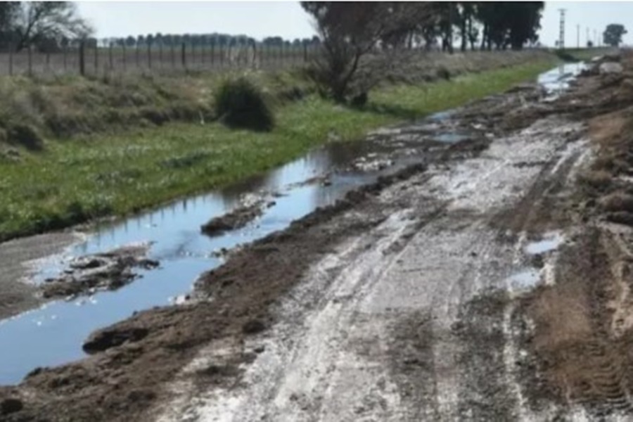 Caminos rurales