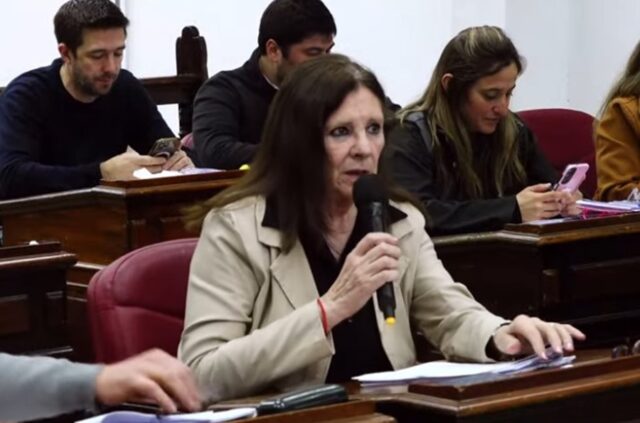 El concejo deliberante aprobó