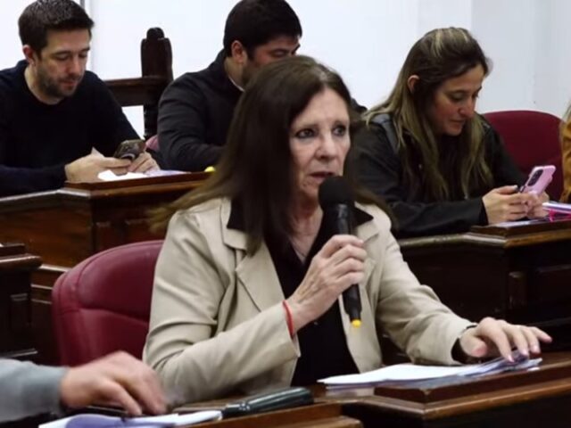 El concejo deliberante aprobó