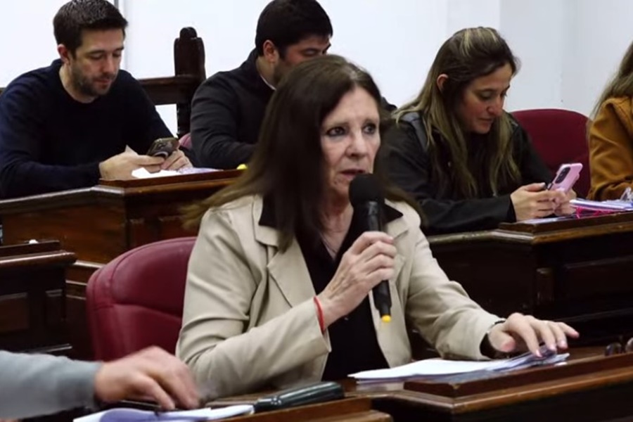 El concejo deliberante aprobó
