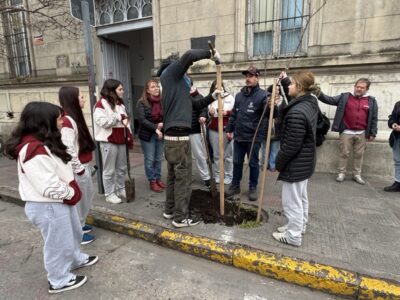 Semana del árbol