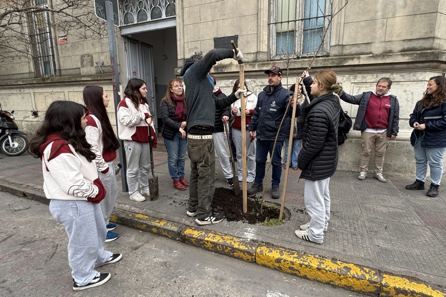 Semana del árbol