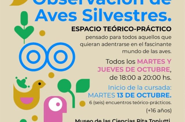 Curso iniciación a la
