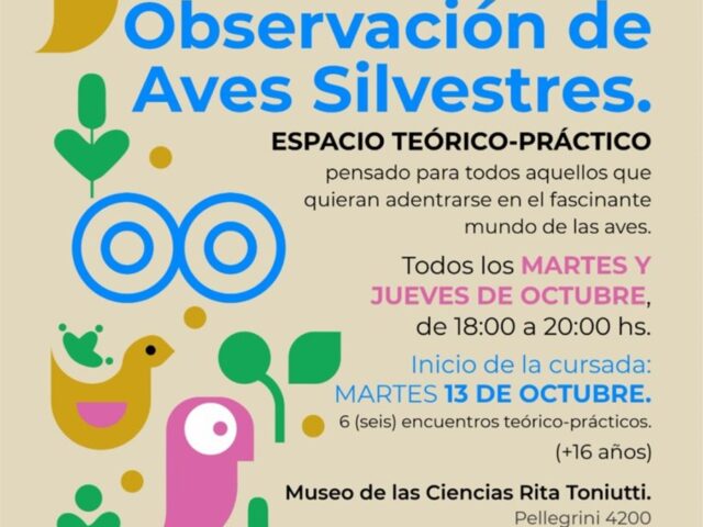 Curso iniciación a la