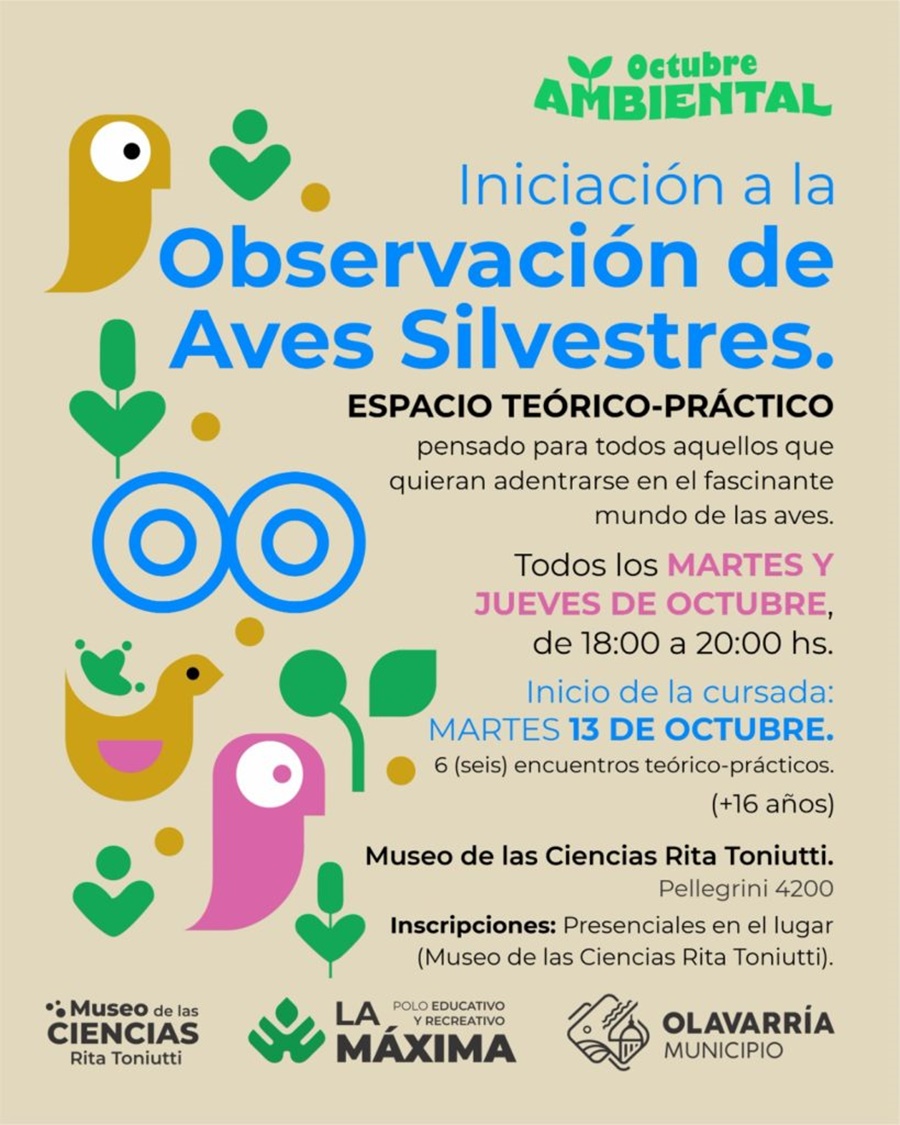 Curso iniciación a la