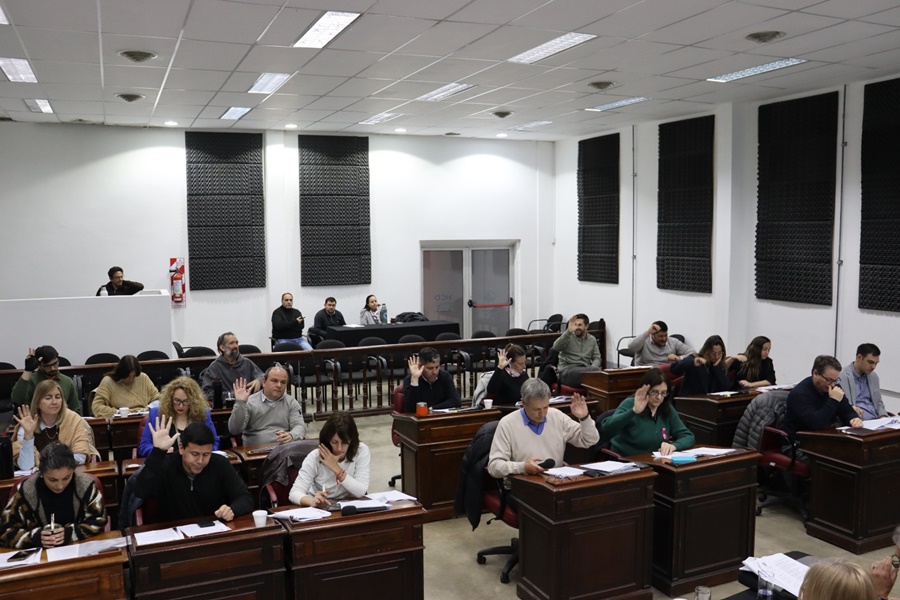 El HCD aprobó por