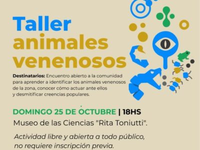 Taller sobre Animales