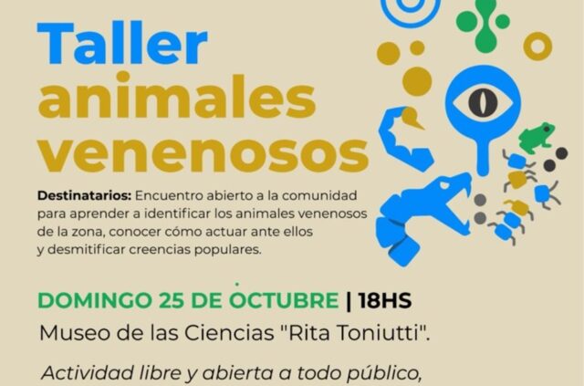 Taller sobre Animales
